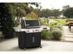 Weber Genesis Epx-335 Smart - Image 13
