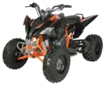 Vitaccii Pentora Racing ATV - Image 2
