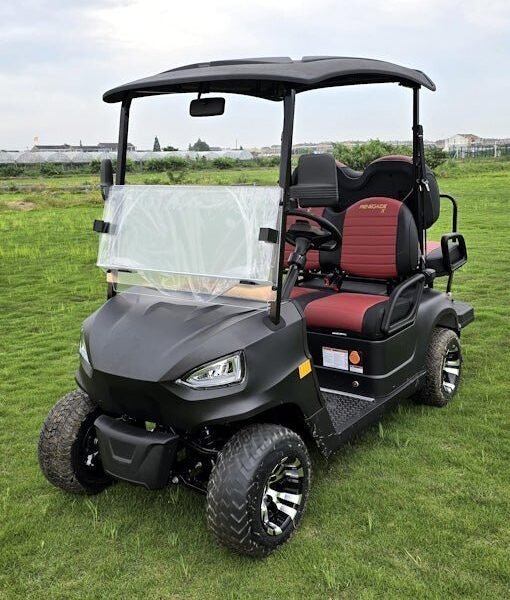 48V Electric Golf Cart 4 Seater Renegade X Edition Utility Golf UTV – BLACK