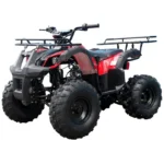 Tao T Forcee T125 Mid Size ATV - Image 3