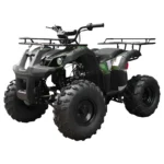 Tao T Forcee T125 Mid Size ATV - Image 2